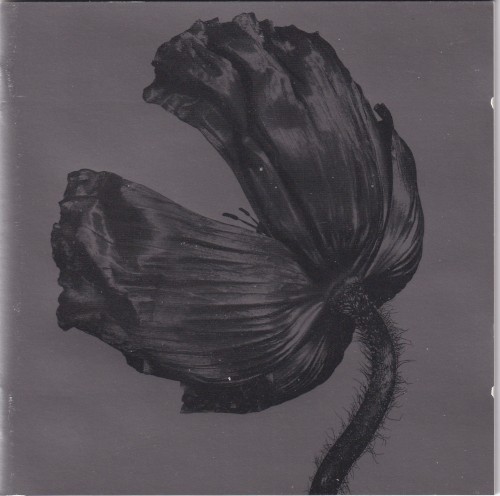 Album cover art for Release