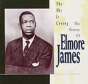 Album cover art for The Sky Is Crying: The History of Elmore James