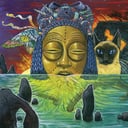 Album cover art for Naked Acid