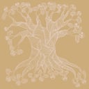 Album cover art for Stories For Owls