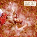 Album cover art for Voodoo Man