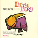 Album cover art for Little Bird