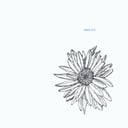 Album cover art for Chandelier