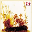 Album cover art for Goldcard