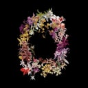 Album cover art for Build With Erosion