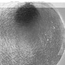 Album cover art for Sonne = Blackbox