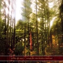 Album cover art for Songs for the Broken Hearted