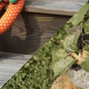 Album cover art for Charade Is Gold