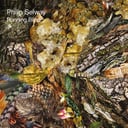 Running Blind - EP by Philip Selway