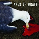 Album cover art for Apes of Wrath