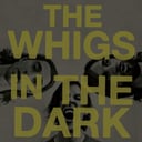 Album cover art for In the Dark