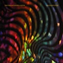 Album cover art for Sad Sour Future