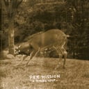 Album cover art for A Ritual Loop