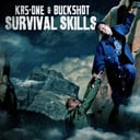 Album cover art for Survival Skills