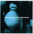 Album cover art for Submerge