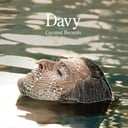 Album cover art for Davy