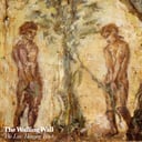 Album cover art for The Low Hanging Fruit (Bonus Version)