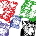 Album cover art for Gin Nation (Original)