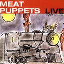 Album cover art for Meat Puppets Live