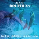 Album cover art for Dolphins