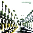 Album cover art for 1981