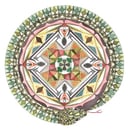 Album cover art for Peer Amid (feat. Daniel Higgs) (Bonus Track Version)