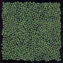 Album cover art for MONG HANG