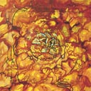 Album cover art for The Antique Barking Swirls of Dawn