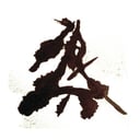 Album cover art for Einzelkämpfer