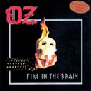 Album cover art for Fire In the Brain