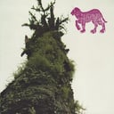 Album cover art for Truce Opium