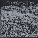 Album cover art for Expedition to the hairier peaks