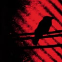 Album cover art for Born Into Trouble As the Sparks Fly Upward