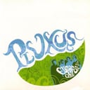 Album cover art for European Onion