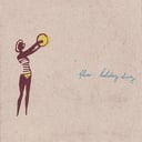 Album cover art for Holiday Diary