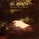 Album cover art for The Door Into Summer