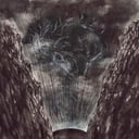 Album cover art for Mammal