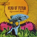 Album cover art for Hysterical Stars