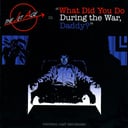Album cover art for What Did You Do During the War, Daddy?