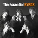 Album cover art for The Essential Byrds