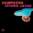 Album cover art for Spider Smile