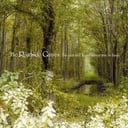 Album cover art for No One Will Know Where You've Been