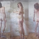 Album cover art for Wild Go