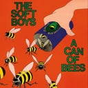 Album cover art for A Can of Bees