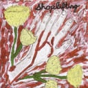 Album cover art for Body Stories