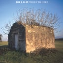 Album cover art for There to Here