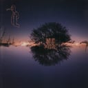 Album cover art for The Push Pull