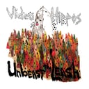 Album cover art for Unbeast the Leash