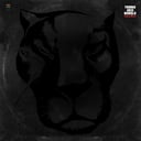 Album cover art for Slave Riot