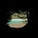 Album cover art for Above the Trees